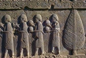 Relief Prints: Reliefs, Persepolis