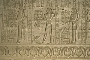 Reliefs Prints: Reliefs, Temple of Hathor, Dendera, Egypt, North Africa, Africa