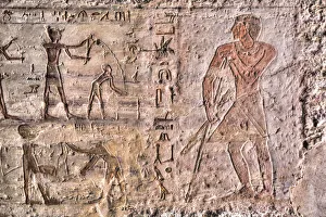Aswan Prints: Reliefs, Tomb of Mekhu and Sabni, Tombs of the Nobles, Aswan, Egypt, North Africa, Africa