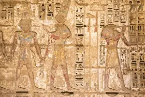 Ancient Egypt Prints: Reliefs on the walls of the Second Court, Temple of Ramesses III at Medinet Habu