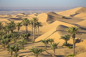 Remah Desert, Al Ain, Abu Dhabi, United Arab Emirates, Middle East