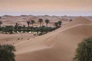 Remah Desert, Al Ain, Abu Dhabi, United Arab Emirates, Middle East