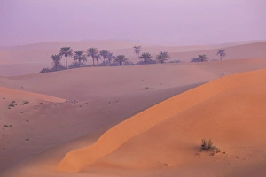 Remah Desert, Al Ain, Abu Dhabi, United Arab Emirates, Middle East