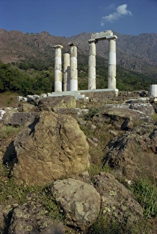 Doric Prints: Remaining Doric columns