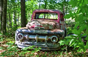 Sustainable Prints: Remains of a 1940s Ford F series pickup truck on Francis Island in Georgian Bay Ontario Canada