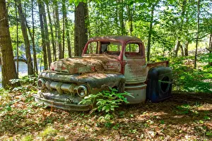Overgrown Prints: Remains of a 1940s pickup truck on an island with no roads in Georgian Bay