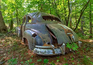 Parked Prints: Remains of a 1947 Pontiac Torpedo Silver Streak car lies abandoned on Francis Island in Georgian Bay