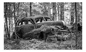 Time Prints: Remains of a 1947 Pontiac Torpedo Silver Streak car overgrown in a forest on Francis Island in Ontario