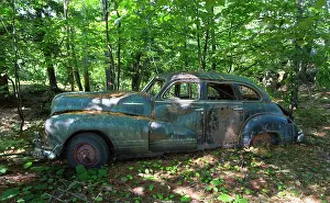 Parked Prints: Remains of a 1947 Pontiac Torpedo Silver Streak car resting in the forest on Francis Island in Georgian Bay