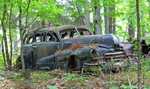 Decay Prints: Remains of a 1947 Pontiac Torpedo Silver Streak on an island in Georgian Bay, Ontario