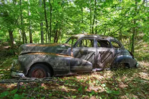 Time Prints: Remains of a 1947 Pontiac Torpedo Silver Streak on an island in Georgian Bay Ontario
