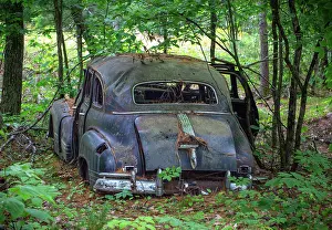 Overgrown Prints: Remains of a 1947 Pontiac Torpedo Silver Streak lost in the forest on Francis Island in Georgian Bay