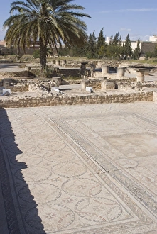 El Djem Prints: Remains of the House of Africa Roman villa, Museum, El Djem, Tunisia, North Africa