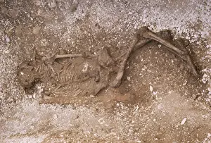 Burial Prints: Remains of an Iron Age woman, excavated in 1976 near Rudston, East Yorkshire