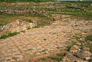Floors Prints: Remains of Roman villa, Abecada, Portimao, Portugal, Europe