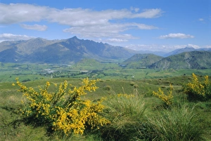 Remarkable Prints: The Remarkables