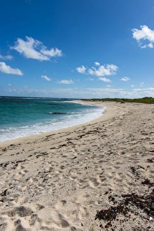 Barbuda Prints: Remote white sand beach in Barbuda