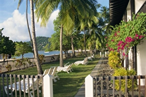 Grand Anse Prints: Renaissance Hotel