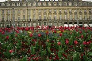 Rennes, Ille-et-Villaine, Brittany, France, Europe