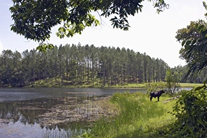 Images Dated 6th July 2009: Reservoir in the mountain community and tourist centre of Las Terrazas