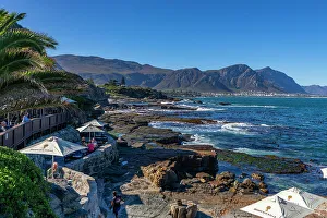 Outdoor Seating Prints: Restaurant, Walker Bay, Hermanus, Western Cape Province, South Africa, Africa