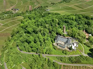 Dining Prints: Restaurant on Wartberg hill with observation tower overlooking vineyards in Heilbronn