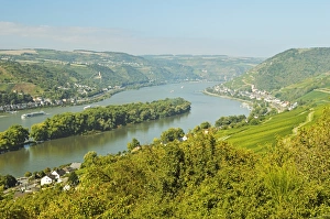 Hesse Prints: Rhine River, near Bodenthal, Hesse, Germany, Europe