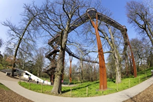 Walkways Prints: Rhizotron and Xstrata Treetop Walkway