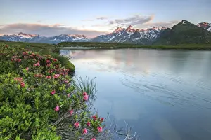 Rhododendrons surround Mount Cardine reflected in Lake Andossi at sunrise, Chiavenna Valley