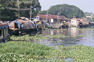 Barge Prints: Rice boats on the backwaters