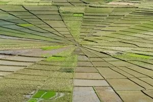 Rice field in spiders web shape, Region of Ruteng, Flores Island, Indonesia