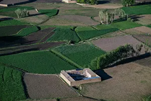 Season Prints: Rice fields surround a structure near Bamyian