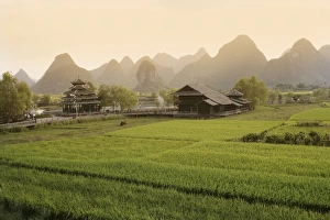 Development Prints: Rice fields, Yangshuo, Guangxu Province, China, Asia