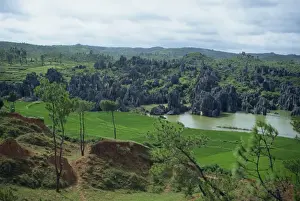 Stone Forest Prints: Rice paddies, lakes and limestone pinnacles in the Stone Forest area of Lunan in Yunnan Province