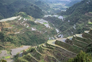 Hilly Prints: Rice terraces at Banaue