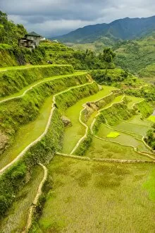 Images Dated 22nd April 2011: The rice terraces of Banaue, UNESCO World Heritage Site, Northern Luzon, Philippines