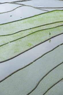 The rice terraces of Banaue, UNESCO World Heritage Site, Northern Luzon, Philippines, Southeast Asia, Asia