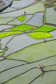 The rice terraces of Banaue, UNESCO World Heritage Site, Northern Luzon, Philippines, Southeast Asia, Asia
