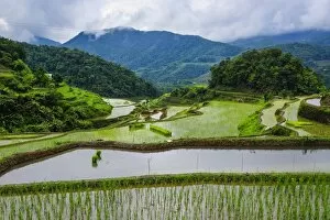 Images Dated 23rd April 2011: The rice terraces of Banaue, UNESCO World Heritage Site, Northern Luzon, Philippines