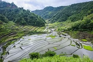 Images Dated 23rd April 2011: The rice terraces of Banaue, UNESCO World Heritage Site, Northern Luzon, Philippines