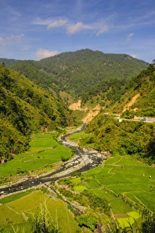 Terraced Field Prints: Along the rice terraces from Bontoc to Banaue, Luzon, Philippines, Southeast Asia, Asia