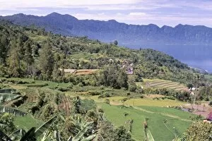 Rice terraces on the eastern shore of Maninjau