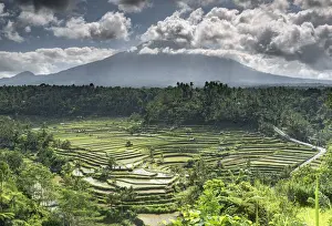 Terraced Field Prints: Rice terraces and fields with the Gunung Agung volcano in the background surrounded by clouds