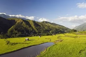 Rice terraces in Luplula Village