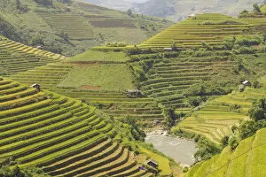 Terraced Collection: Rice terraces in Mu Cang Chai, Vietnam, Indochina, Southeast Asia, Asia