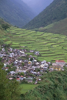 Luzon Prints: Rice terraces and village