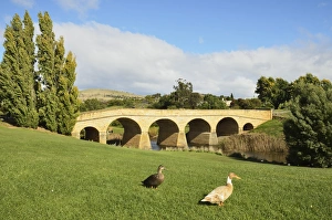 Oldest Prints: Richmond Bridge, Australias oldest road bridge, Richmond, Tasmania