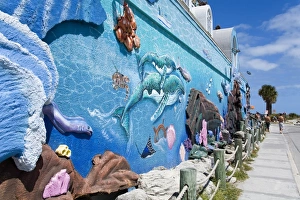 Images Dated 29th March 2007: Rickeys Arcade, Cocoa Beach, Florida, United States of America, North America