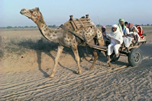 Dusty Prints: Riding in a camel cart