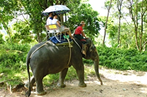 Phuket Prints: Riding elephants in the Chalong Highlands, Phuket, Thailand, Southeast Asia, Asia